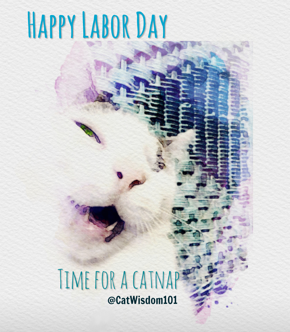 careers for cats on Labor Day
