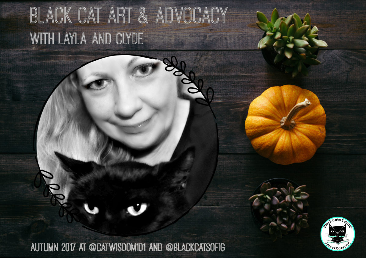 black Cat art and Advocacy