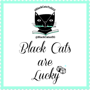 lucky black cat quote