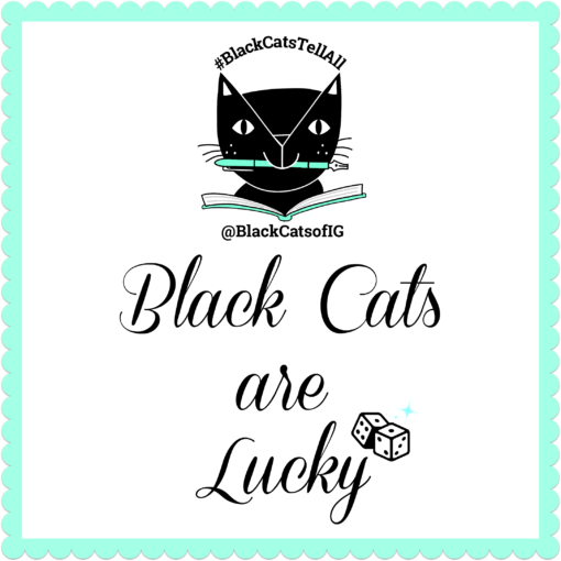 lucky black cat