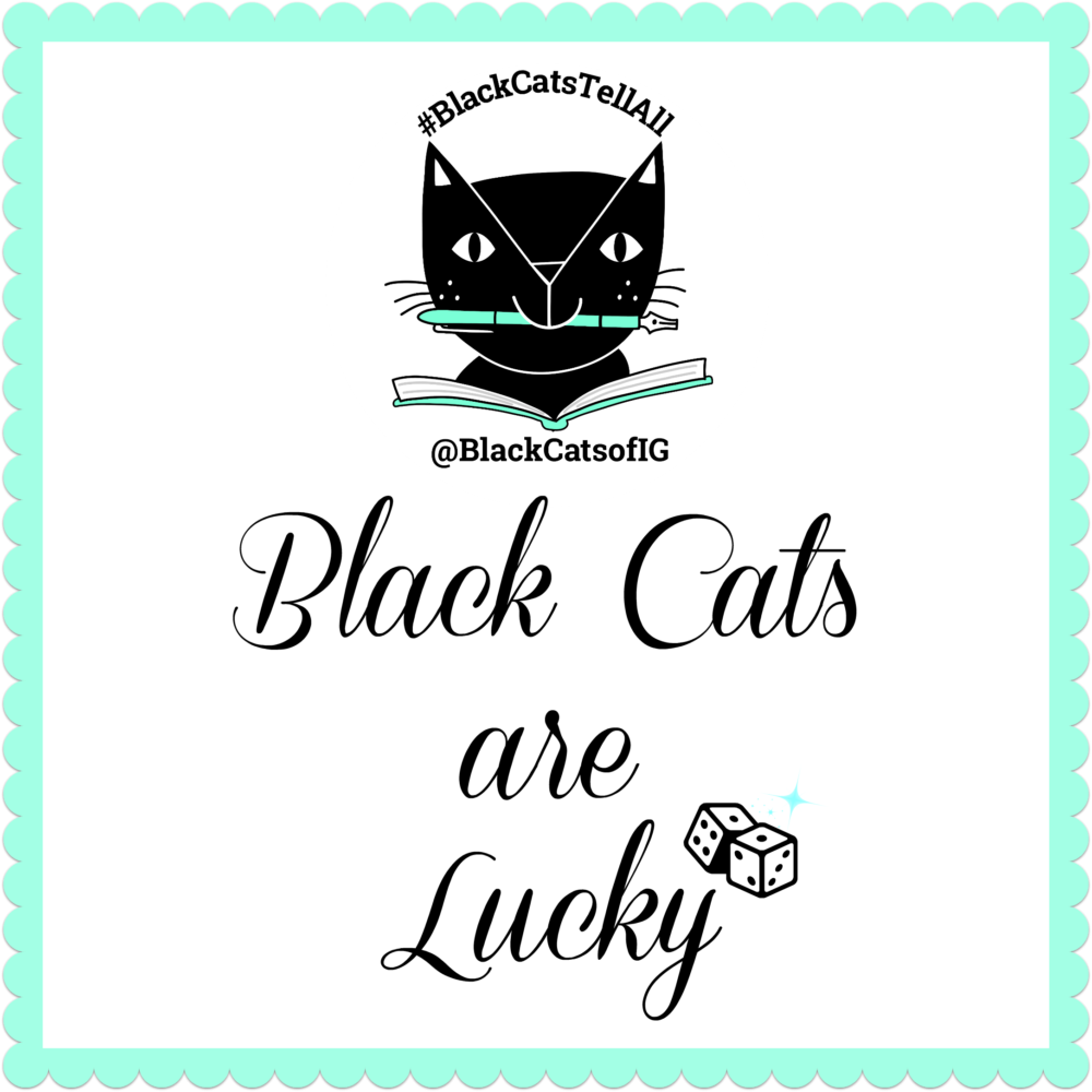 black_cats_lucky_quote