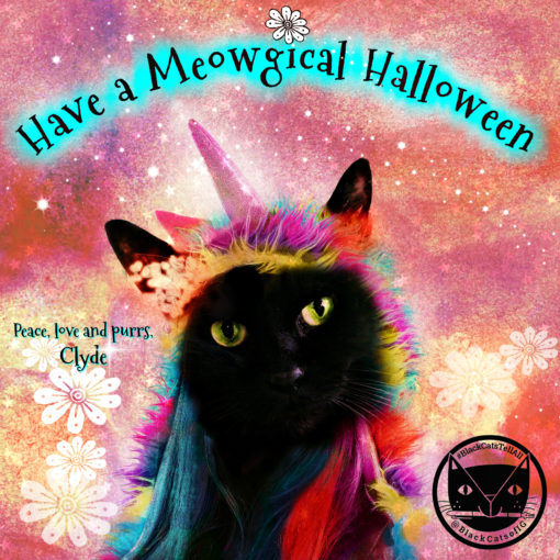 unicorn_cat_Meowgical_halloween