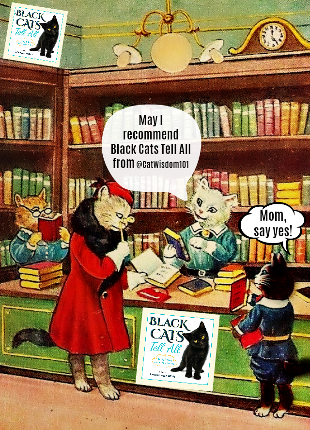 vintage_cat_books_Blackcatstellall