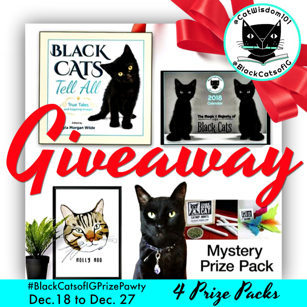 Blackcatsofig_giveaway