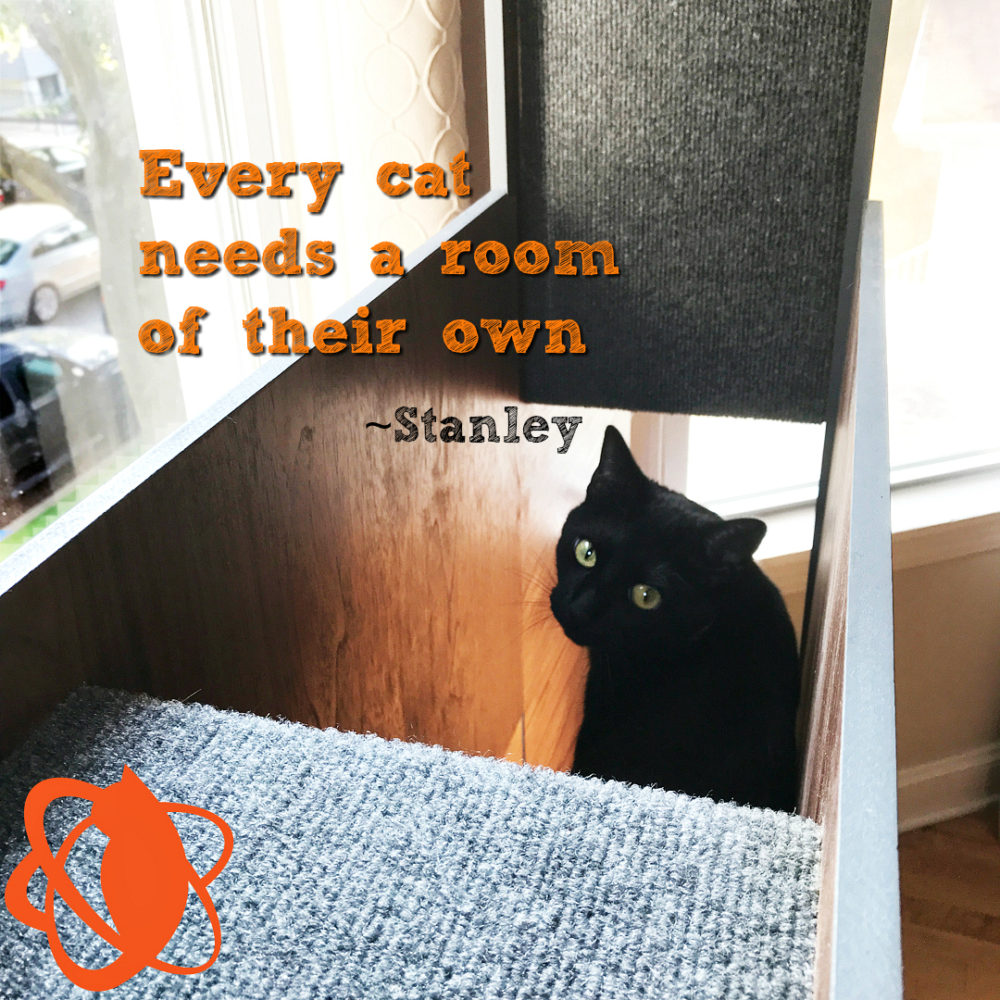 Stanley-_cat_room_quote