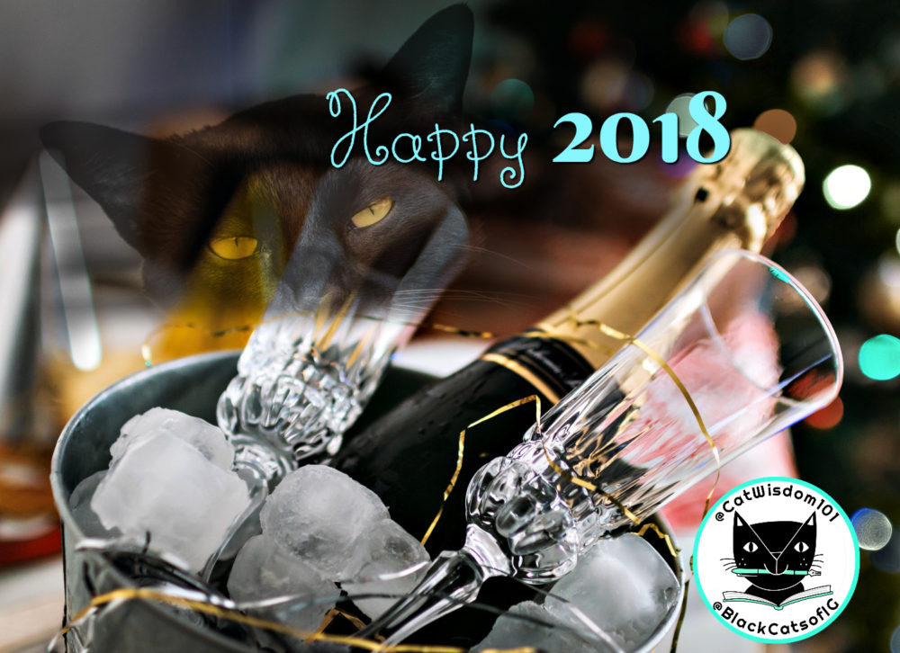 new_year_2018_black_cat_wisdom