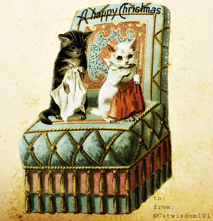 victorian-cats_christmas