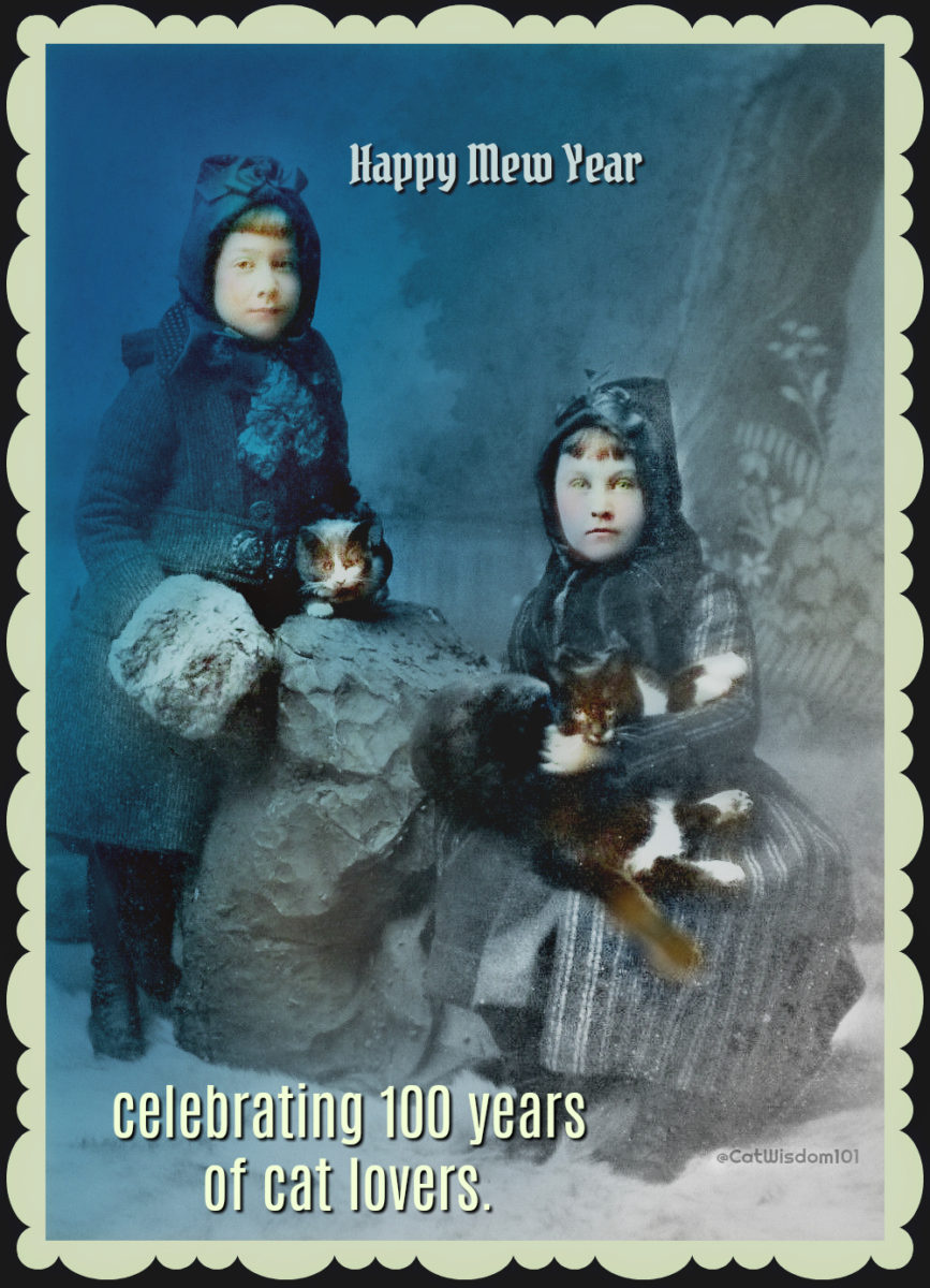 vintage_winter_new_year_cats-girls