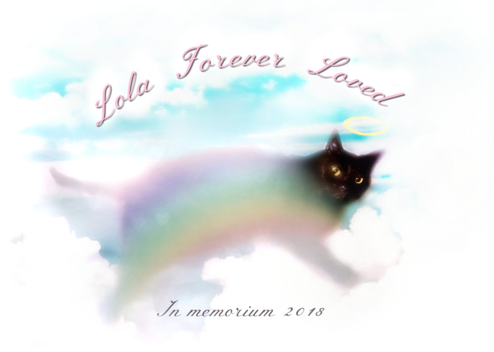 rainbow_cat_lola-forever-loved