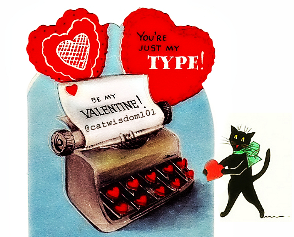 vintage_cat_typewriter