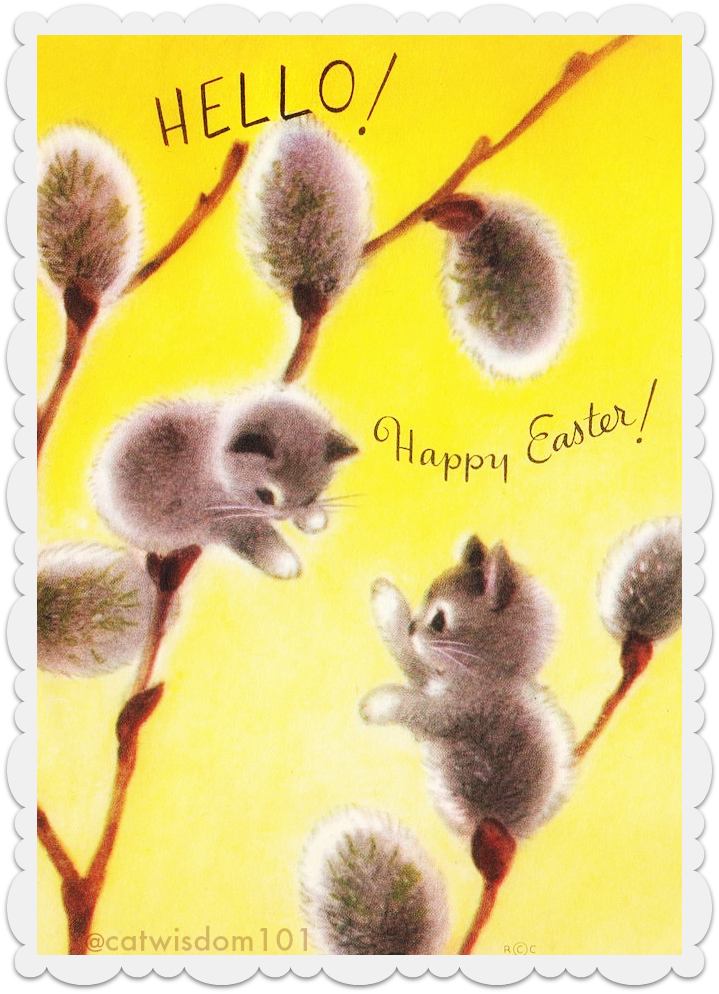 vintage_pussy-willow_cats