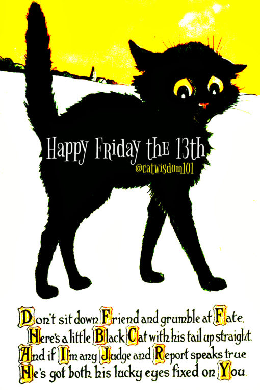 lucky_cat_friday_13th_quote