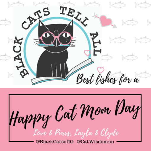 Mother’s Day For Cat Moms Cat Wisdom 101