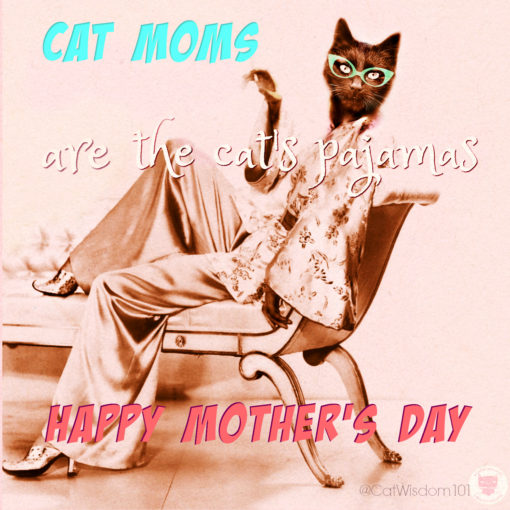 cat mom day