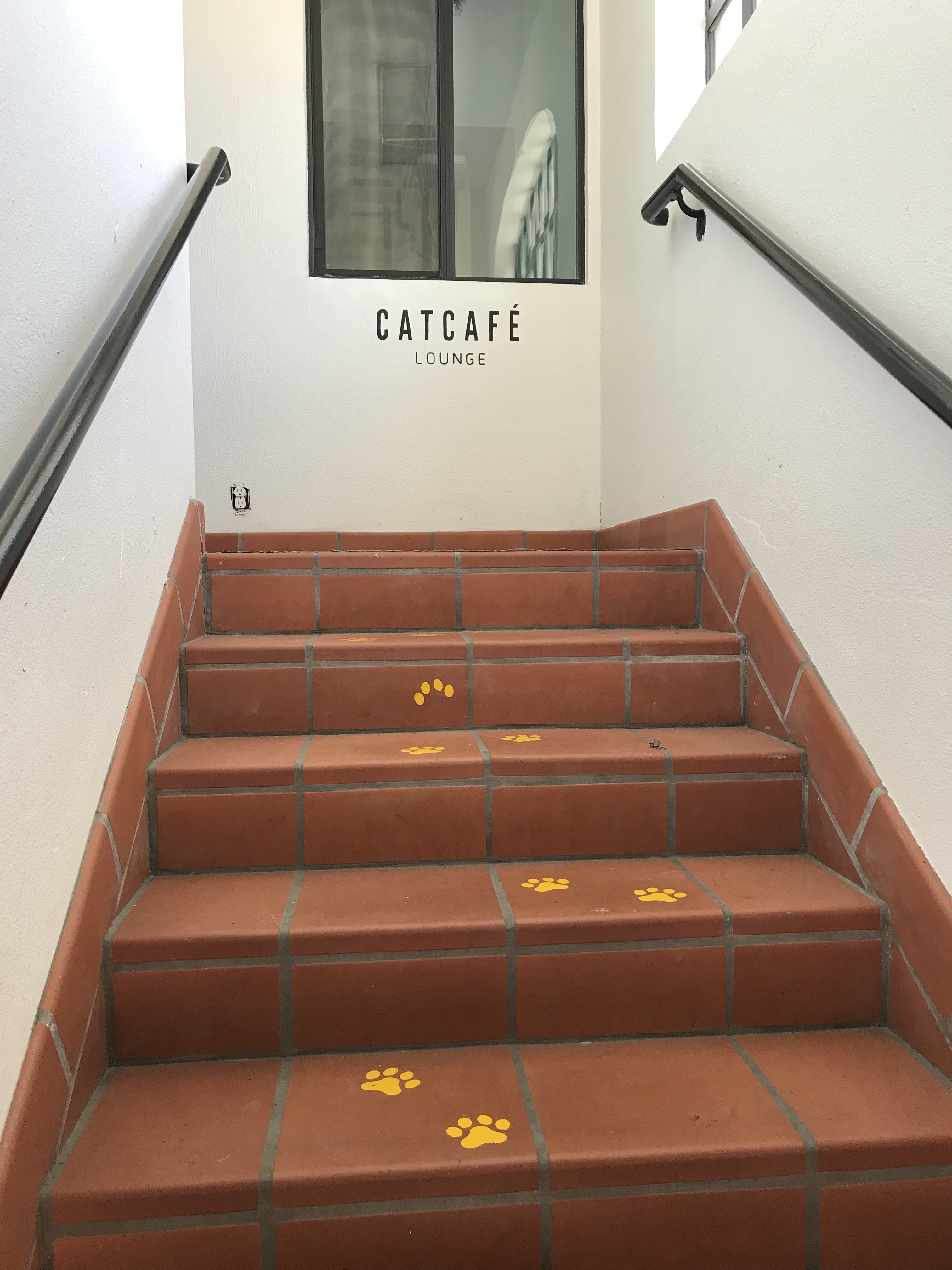 cat_cafe_LA_stairs