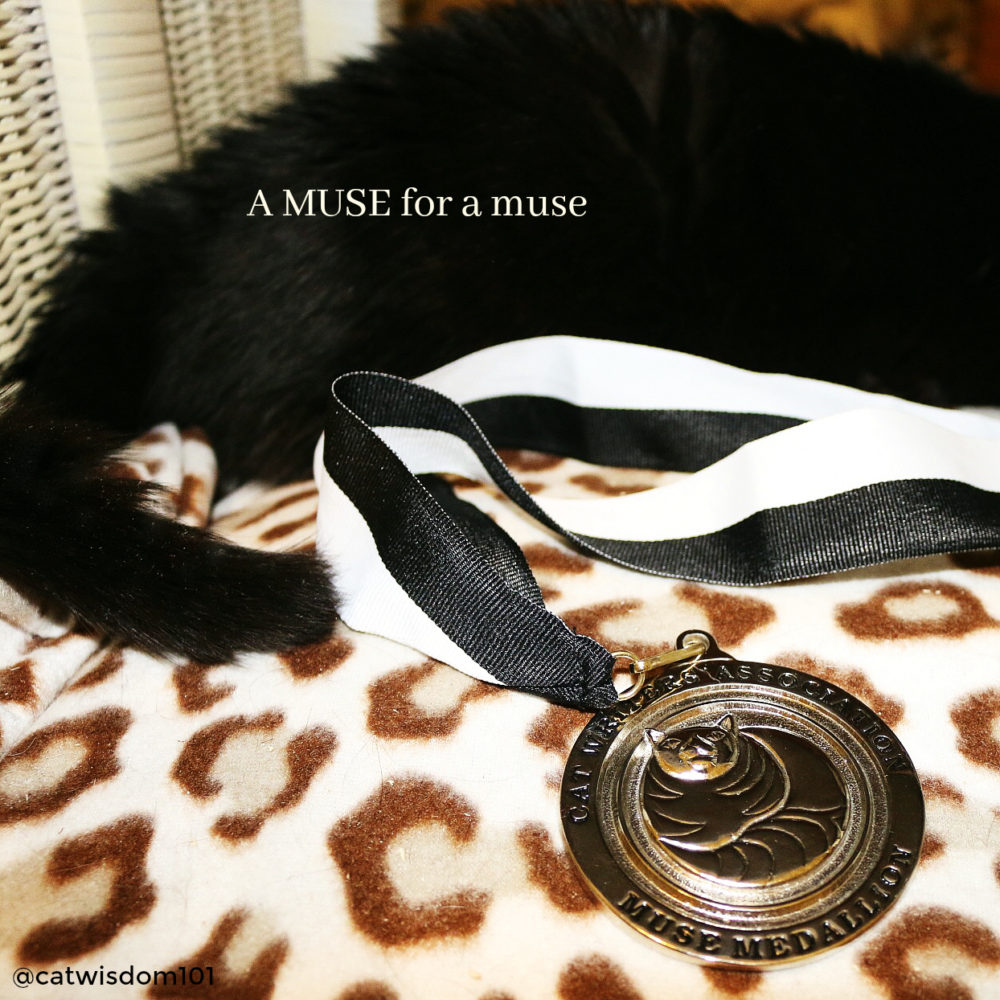 cat_muse_award_catwisdom101
