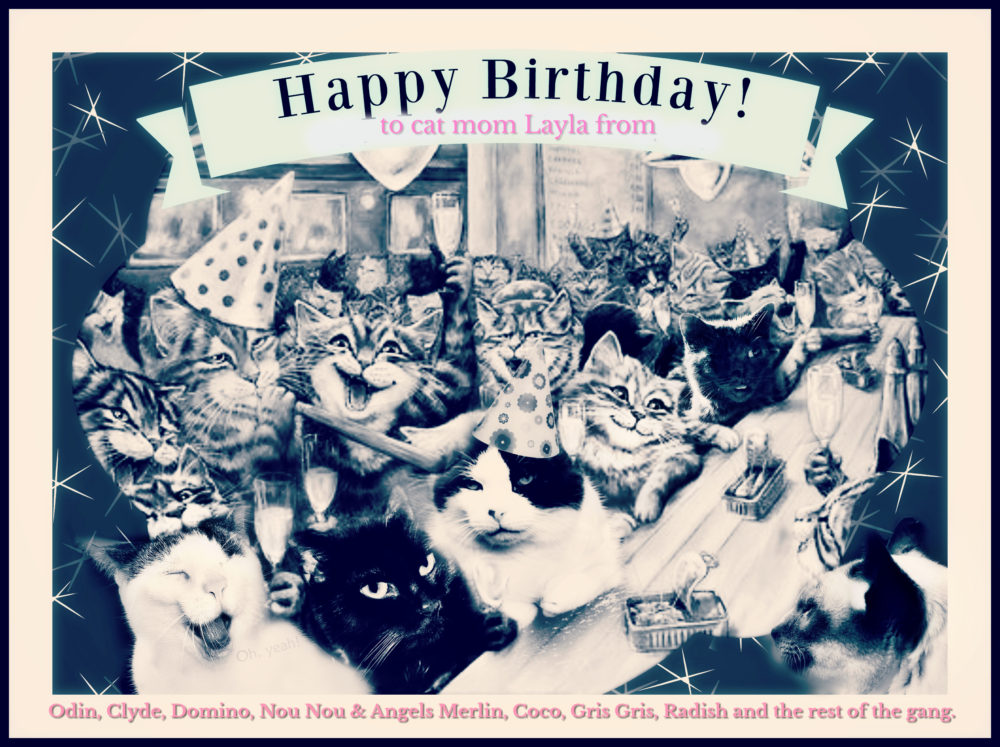 cat-party-birthday_catwisdom101