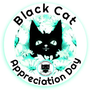 Black Cat_appreciation_day_catwisdom101
