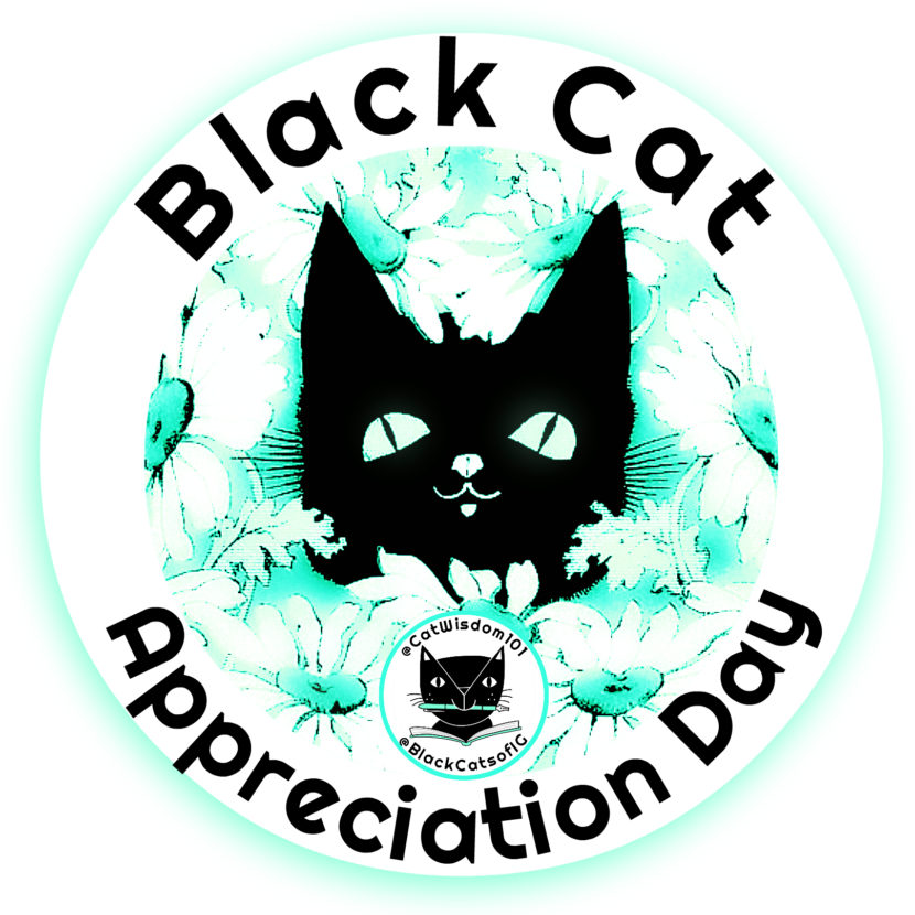Black Cat Appreciation Day News | Cat Wisdom 101