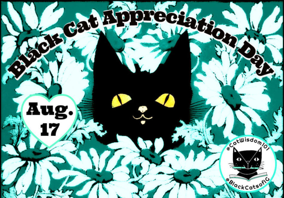 Black_cat_appreciation_day