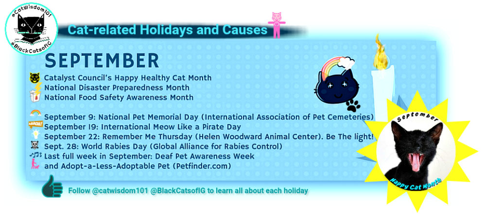 cat_holidays_september_catwisdom101