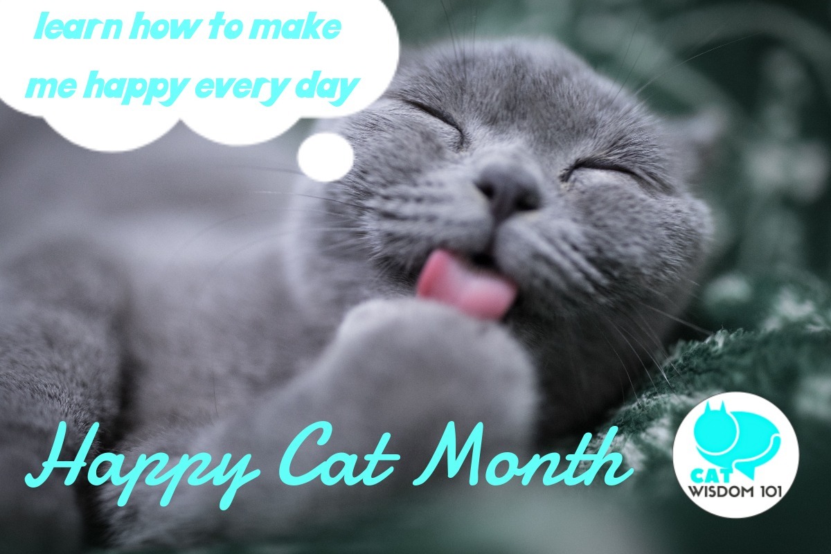 happy_cat_month_gray_tongue_1200x800