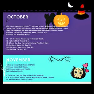cat_holidays_october_november_calendar