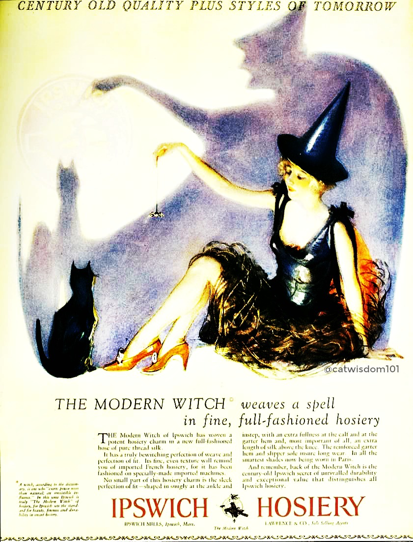 BlackCats_witch_hosiery_Catwisdom101