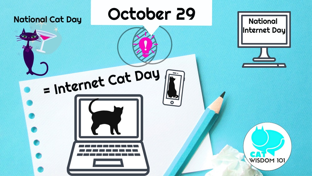 Internet_cat-day_catwisdom101