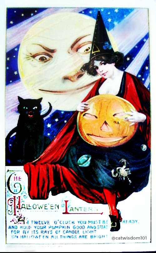 halloween_witch_moon