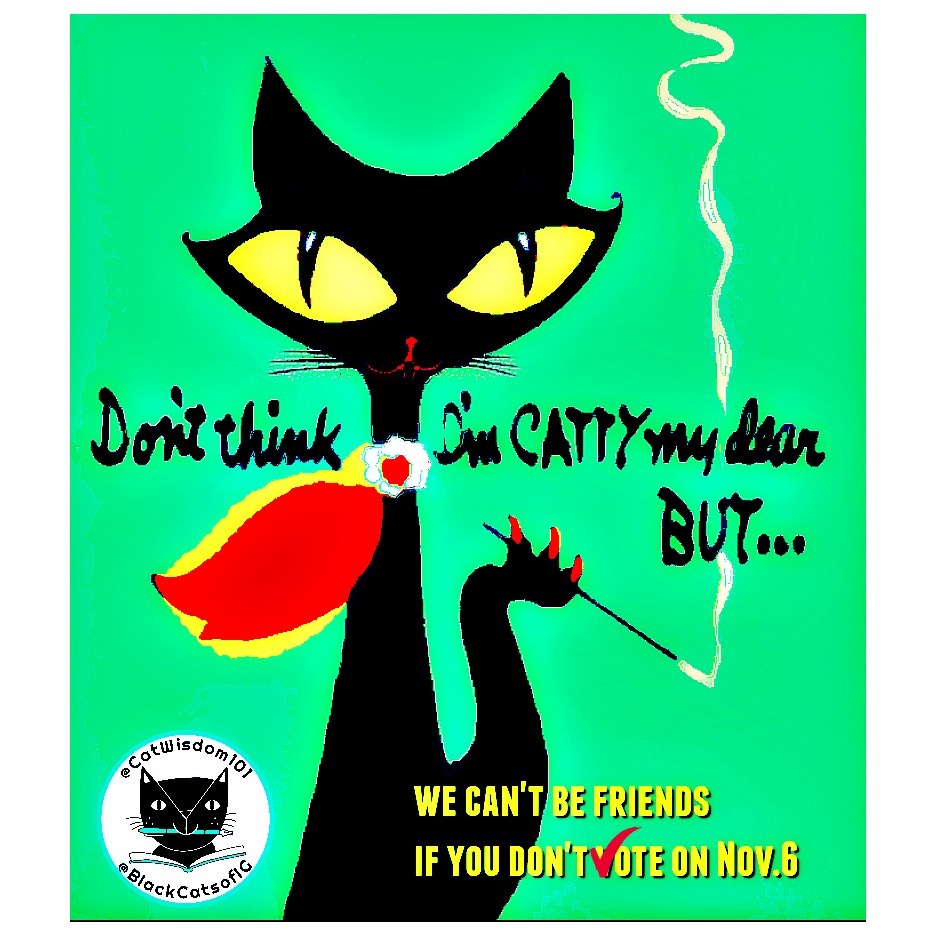 vote_catty_nov6_catwisdom101_black