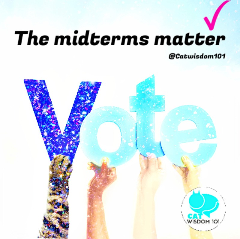 vote_midterms