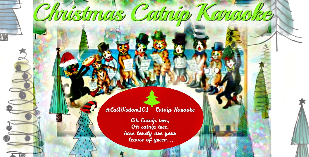 christmas_catnip_karaoke