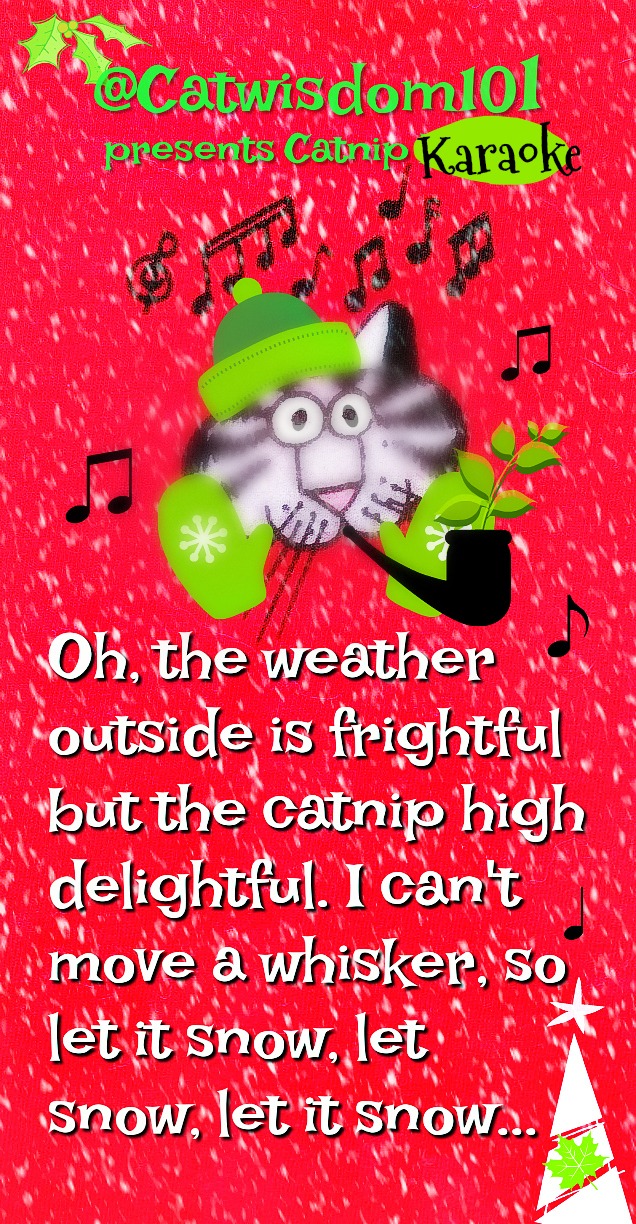 christmas_catnip_karaoke_snow_catwisdom101