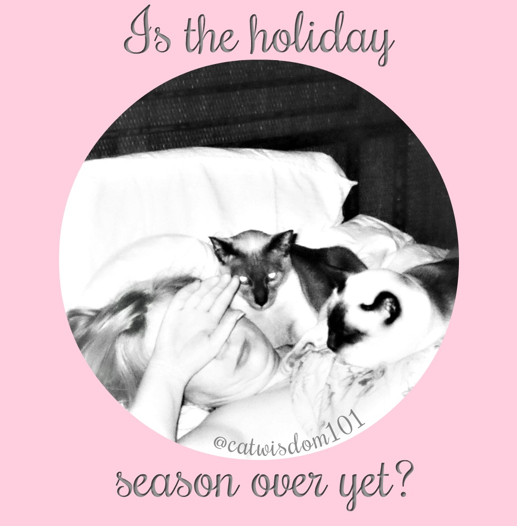 layla_holiday_season_catwisdom101