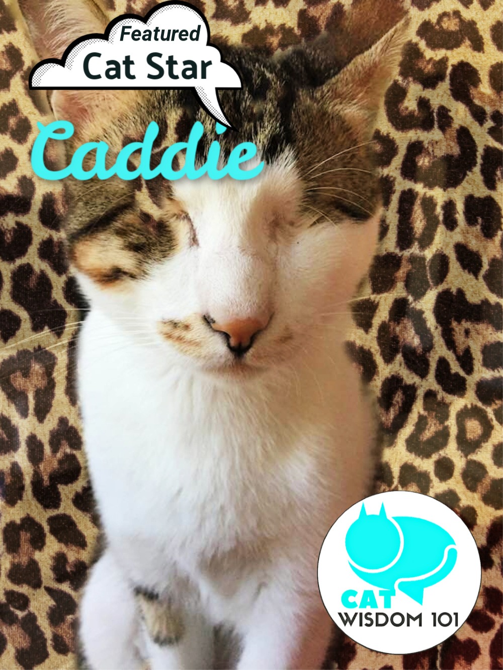 Caddie.cat_catwisdom101