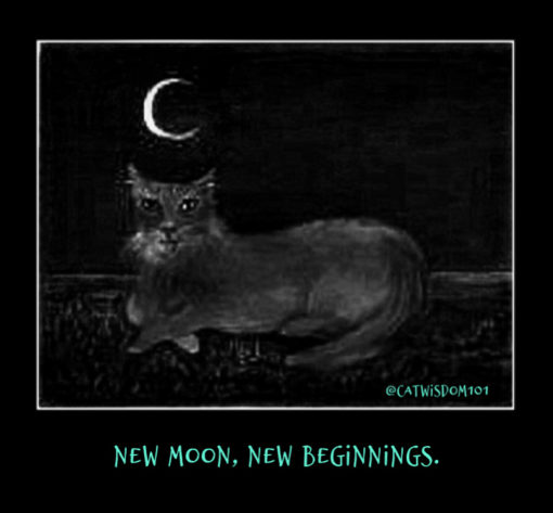 cat_art+abercrombie_moon_catwisdom101