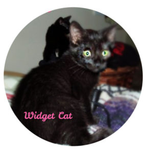 widget_cat