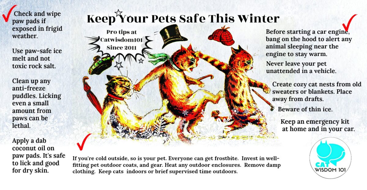 winter_pet_safety_catwisdom101