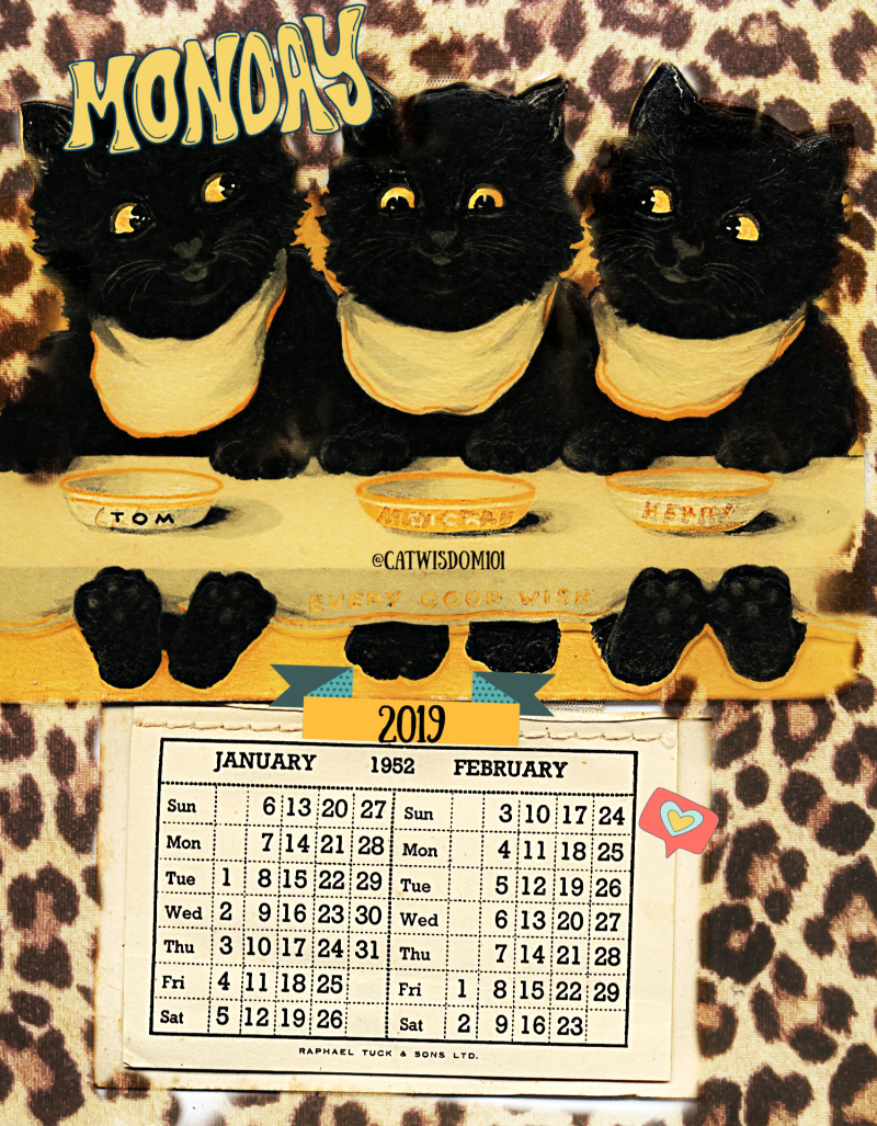 black_cat_calendar_catwisdom101