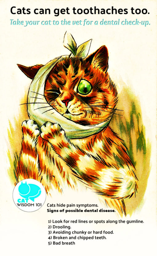 dental-cats_petdentalmonth_catwisdom101_toothache