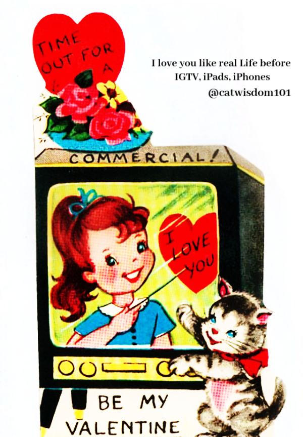 vintage-TV-cat-valentine