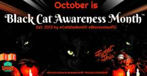 black cat awareness month