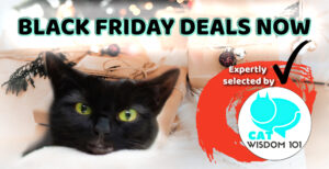 Black Cat Friday_deals_cat lovers