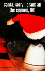 black cat santa hat drinking water fountain