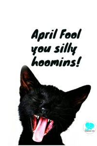april fool cat