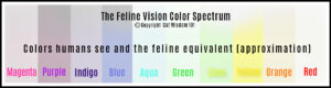 feline vision color spectrum VS human