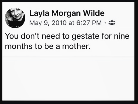 quote -layla morgan wilde-motherhood