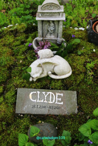 cat grave-angel cat Clyde