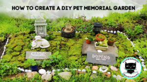 DIY pet cat memorial garden